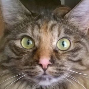 Meet your Posher, Sharon